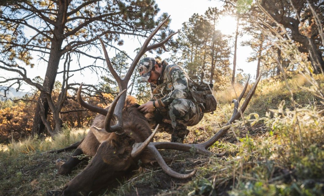 Why Has Hunting In Colorado Become So Popular?