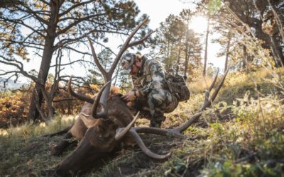 Why Has Hunting In Colorado Become So Popular?