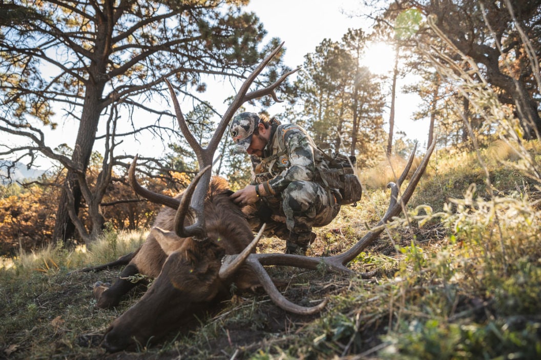 Hunting in Colorado