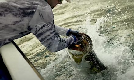 World Record Tarpon: Why We Haven’t Seen the Maximum Size for This Species Yet
