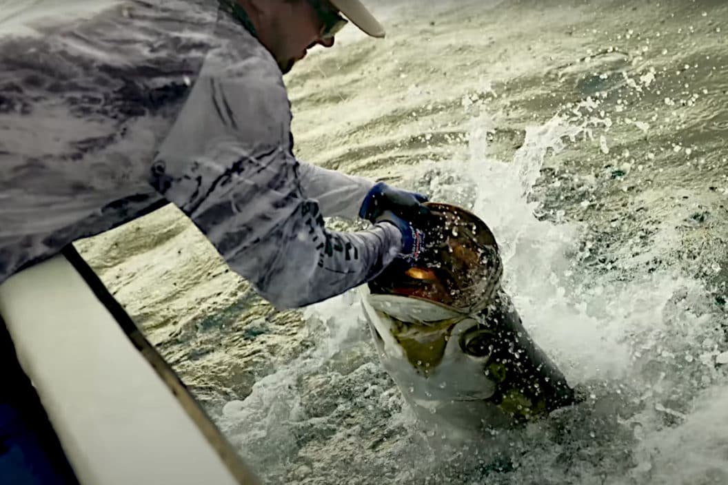 World Record Tarpon