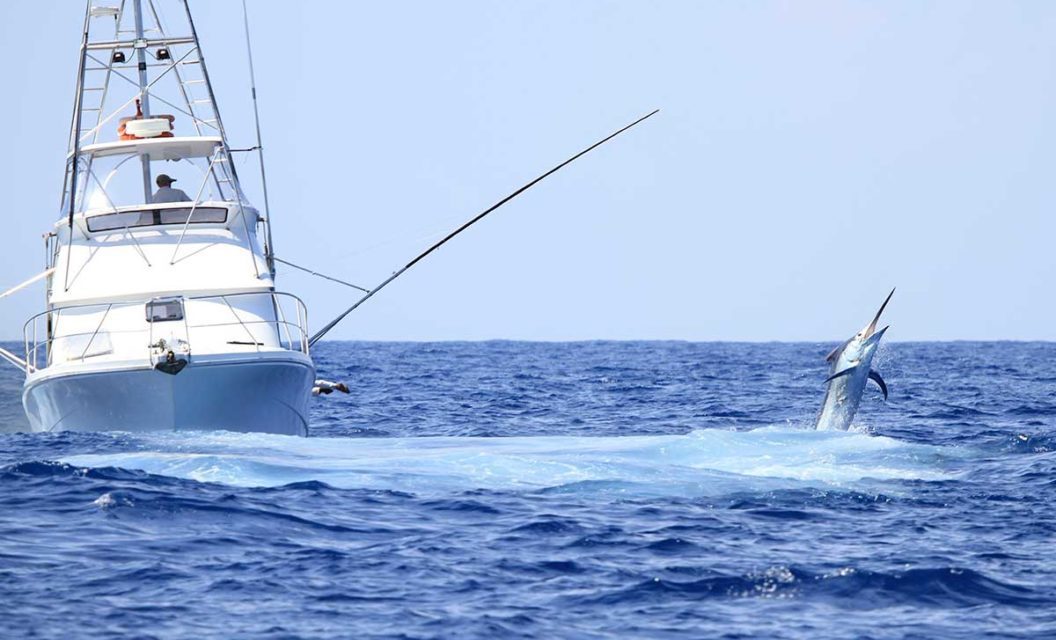 3 Reasons to Book a Deep Sea Fishing Charter this Summer