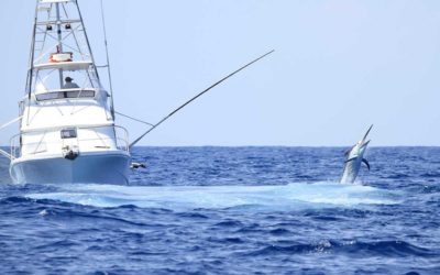 3 Reasons to Book a Deep Sea Fishing Charter this Summer