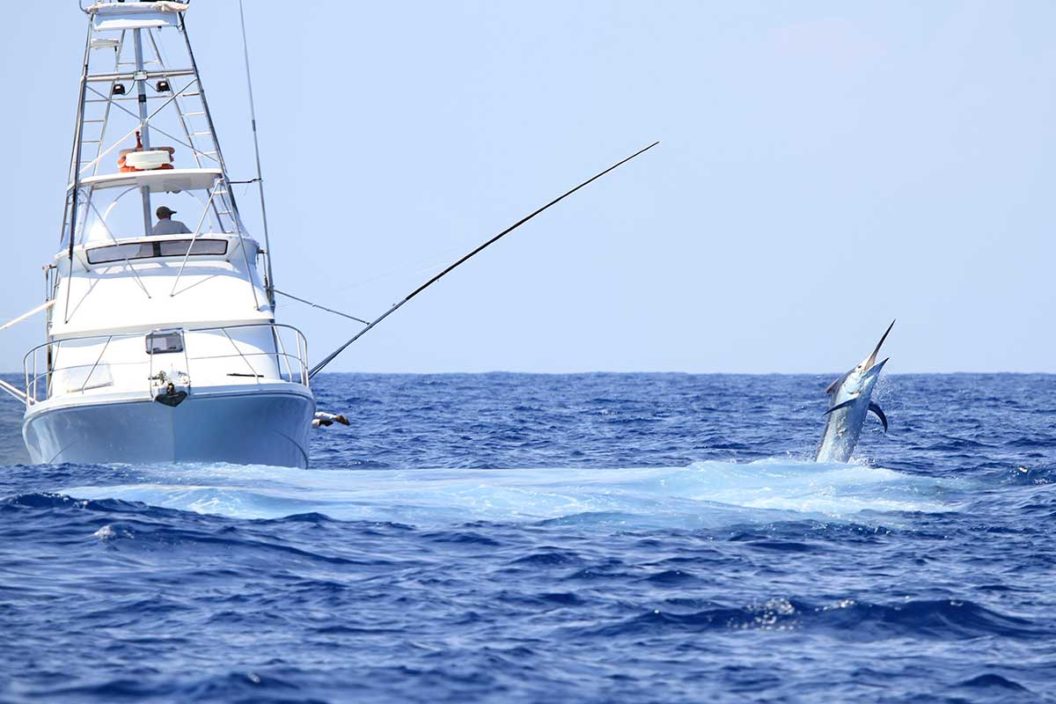 deep sea fishing charter