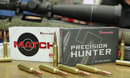 4 Deer Hunting Calibers That Are Quickly Gaining Momentum