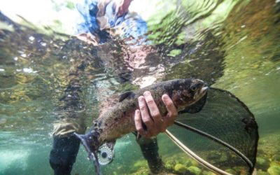 5 Top-Rated Men’s Fishing Shoes for Anglers, Kayakers, and Boaters