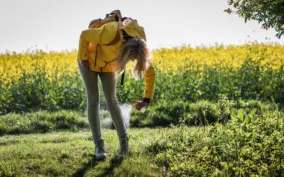 6 Top-Rated Tick Repellents for Your Lawn, Your Dog, and You