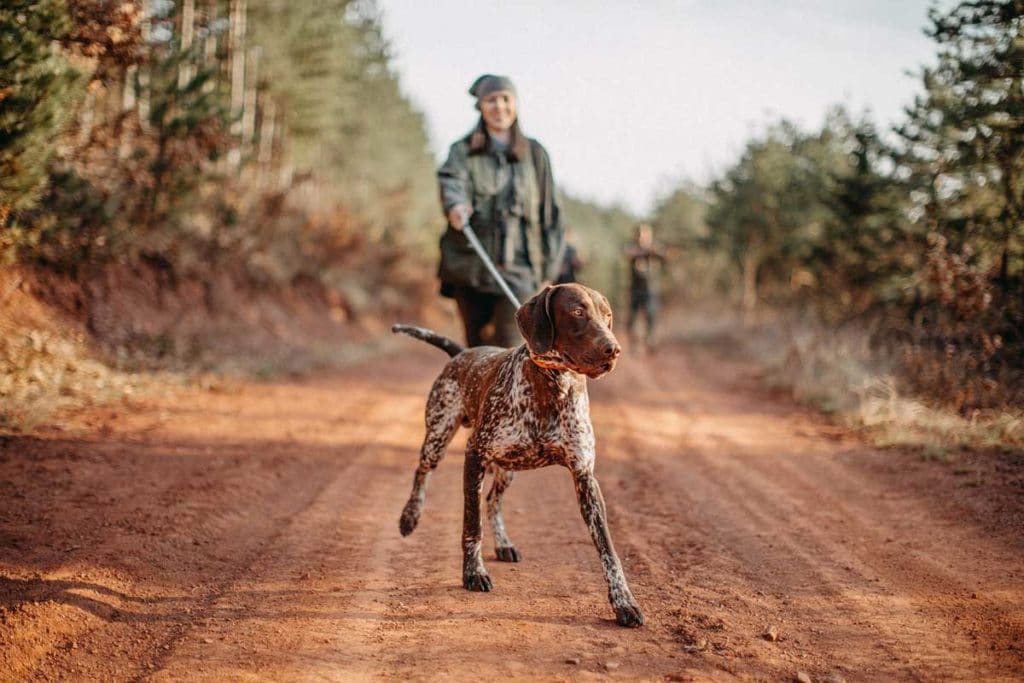 Women And Hunting Dogs