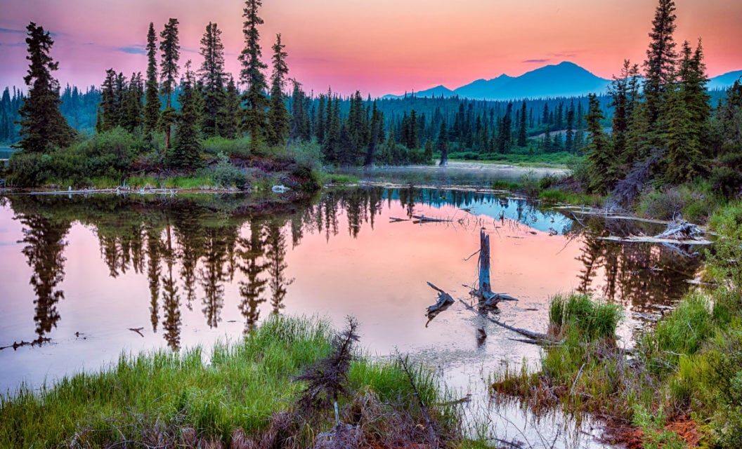 8 National Parks Where You Can Avoid Packed Summer Crowds