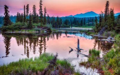 8 National Parks Where You Can Avoid Packed Summer Crowds