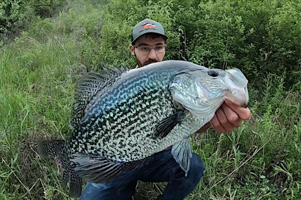 Giant Crappie Catch