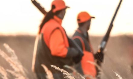 Best Upland Bird Hunting Apparel for Women Chosen By a Dedicated Female Hunter