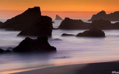 Carpe Diem And Photography