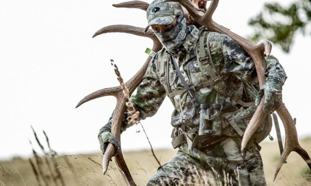 Every State That Offers Over-the-Counter Elk Tags