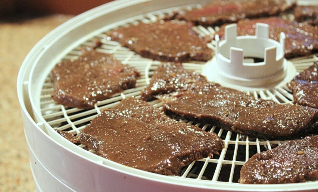 Here’s The Best Dehydrators To Make Jerky With