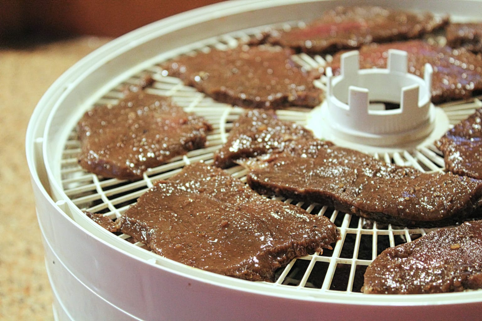 Here's The Best Dehydrators To Make Jerky With Outdoor Enthusiast