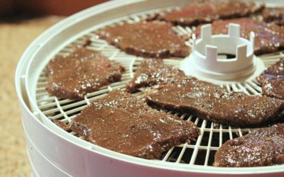 Here’s The Best Dehydrators To Make Jerky With
