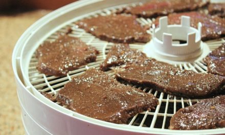 Here’s The Best Dehydrators To Make Jerky With