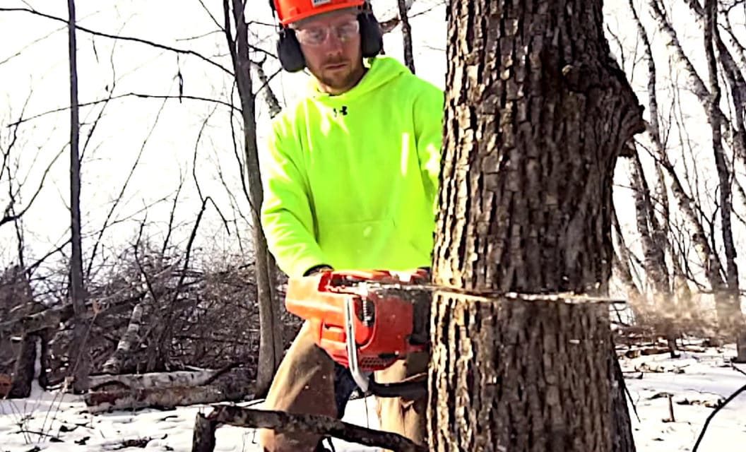 Hinge Cutting Trees for Deer: How and Why to Do It