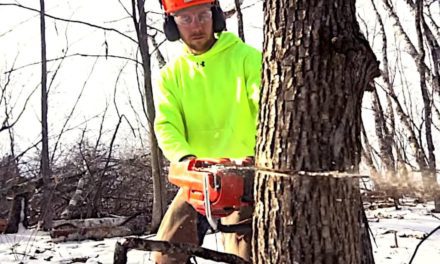 Hinge Cutting Trees for Deer: How and Why to Do It