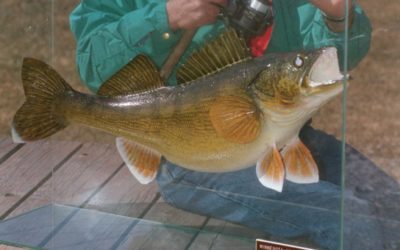 How to Be Prepared in Case You Catch a Record Fish