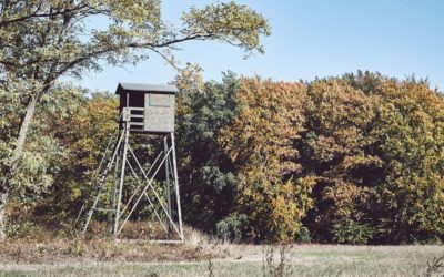 How to Determine When It’s Time to Move on From a Deer Hunting Spot