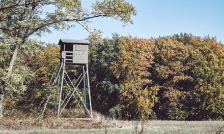 How to Determine When It’s Time to Move on From a Deer Hunting Spot