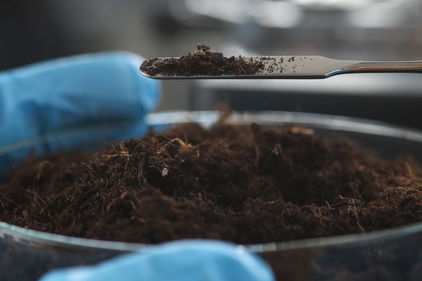 Soil Tests for Food Plots