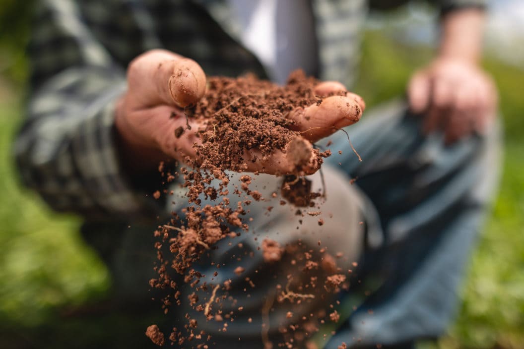 Soil Tests for Food Plots