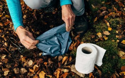 How to Use a Wag Bag for Your Outdoor Potty Needs