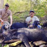 Hunting Hogs in Georgia: A Guide to All Things Feral Swine