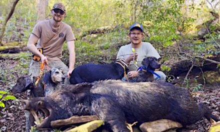Hunting Hogs in Georgia: A Guide to All Things Feral Swine