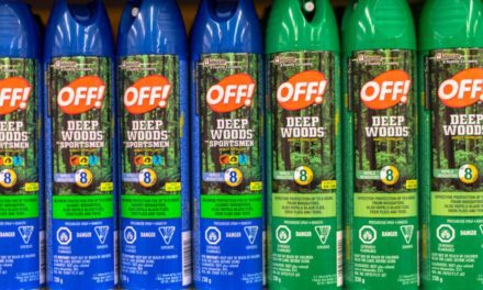 Insect Repellent: The Secrets That Help Shield You From Bugs