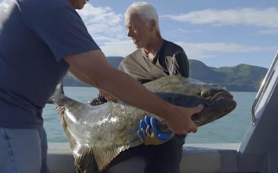 Jeremy Wade Tangles With a Massive, Angry Halibut in Alaska