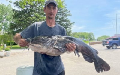 Michigan Confirms New State Record Flathead Catfish
