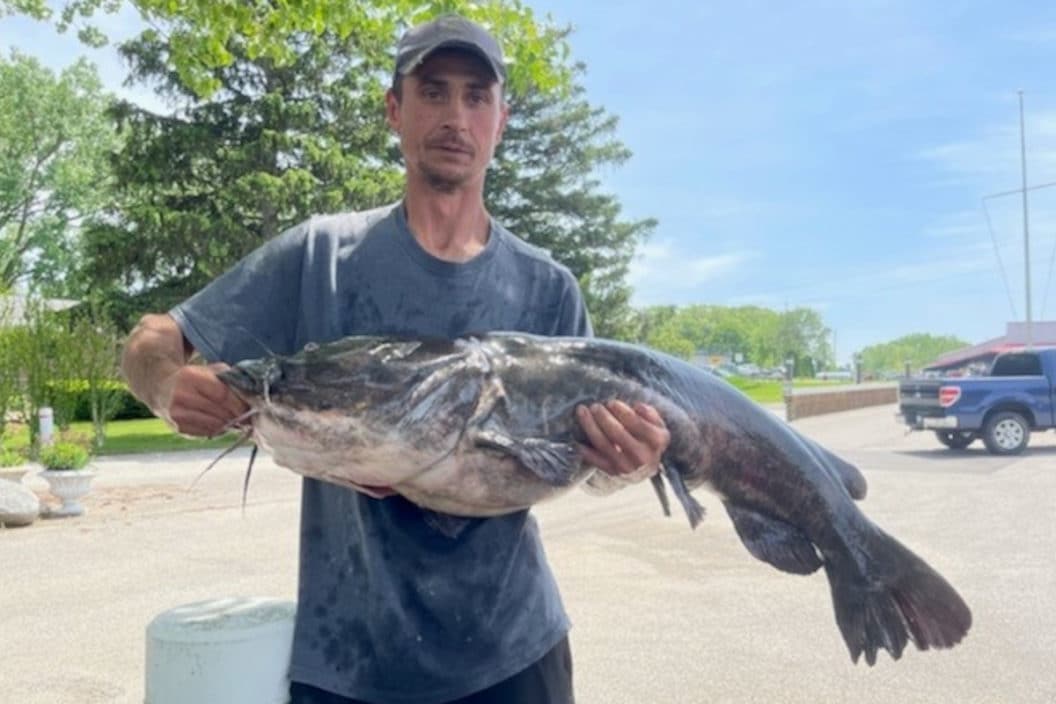 Michigan State Record Flathead Catfish