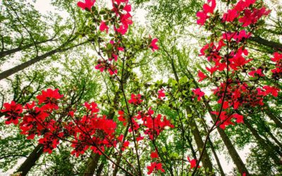 Photo Of The Day By mi allsbrook