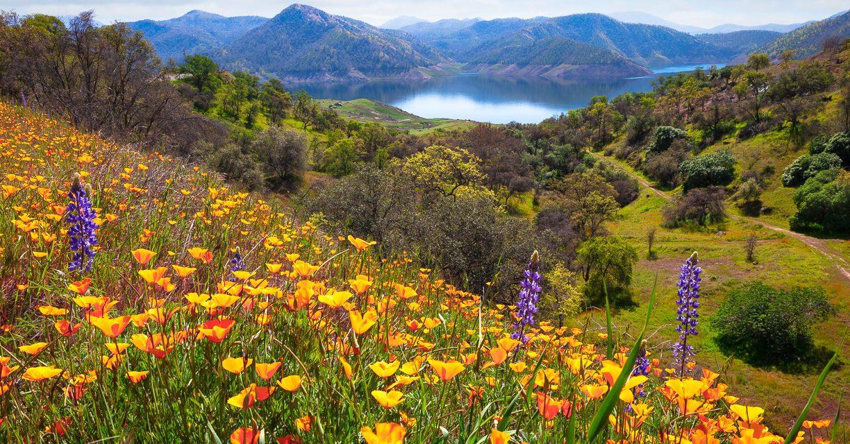 Photos Of The Day For May 2022