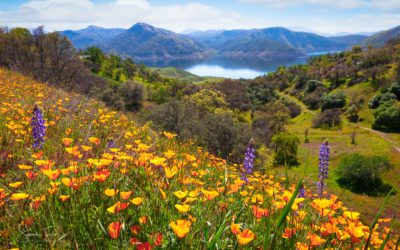 Photos Of The Day For May 2022
