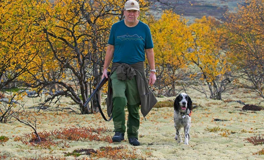 Picking a Good Hunting Dog Based on the Breed’s Expertise