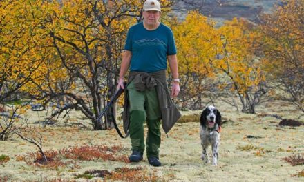 Picking a Good Hunting Dog Based on the Breed’s Expertise