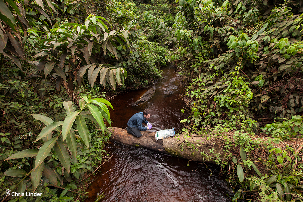 Photo of a chemist taking a water sample in the rainforest