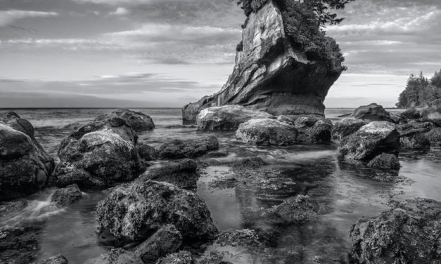 Shi Shi Beach