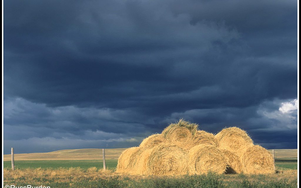 Storm Light In Landscape Photography