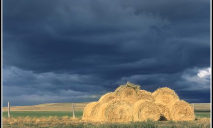 Storm Light In Landscape Photography