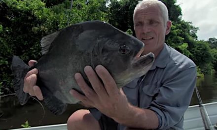 That Time Jeremy Wade Caught a Massive 6.5-Pound Piranha