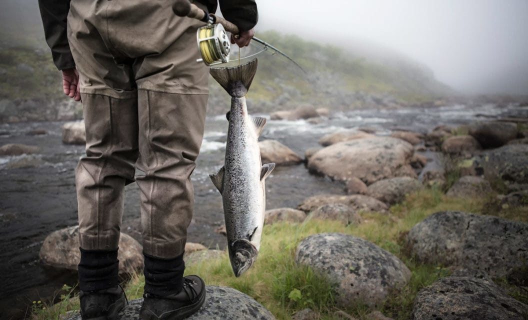 Top 5 Fly Fishing Waders for an Angler That Doesn’t Want to Spend a Ton of Money