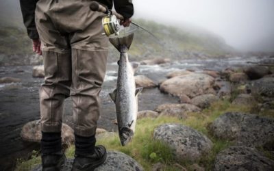 Top 5 Fly Fishing Waders for an Angler That Doesn’t Want to Spend a Ton of Money