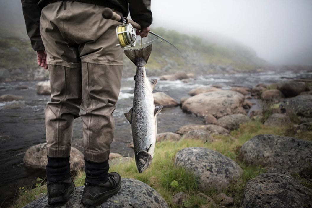 fly fishing waders