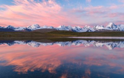 Undiscovered Country